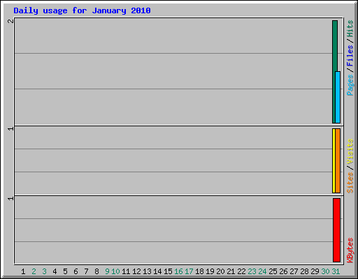 Daily usage for January 2010