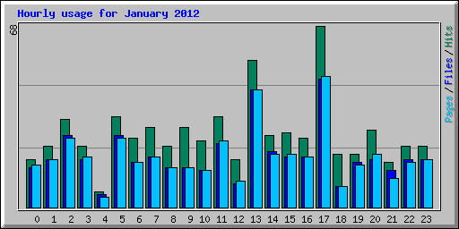 Hourly usage for January 2012