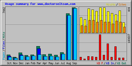 Usage summary for www.doctorseltsam.com